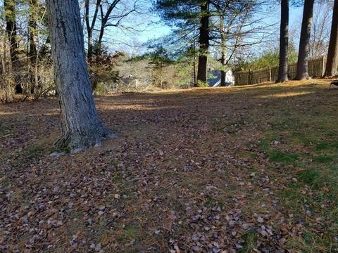 3 Laurel Ln, Walpole, MA 02081 photo 4