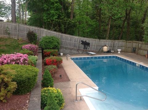 130 Timothy Cir, Springfield, MA 01119 photo 20