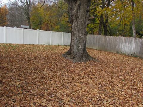 24 Gary Rd, Springfield, MA 01119 photo 4