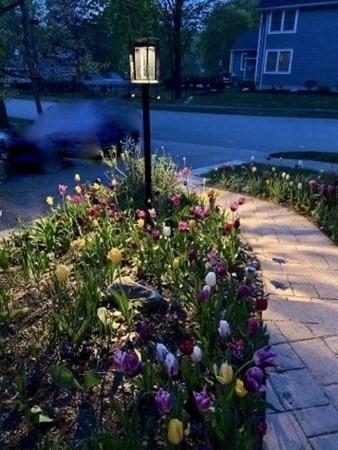 4 Garrett Rd, Reading, MA 01867 photo 32
