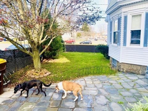 297 Brayton Ave, Fall River, MA 02721 photo 24
