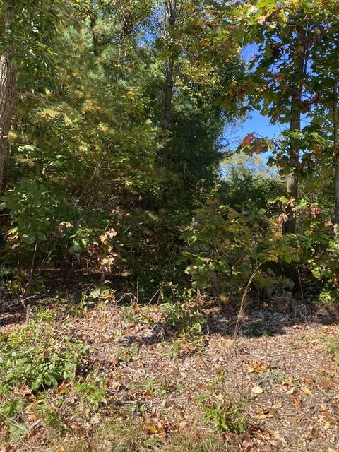 46 Boston Rd, Sutton, MA 01590 photo 2