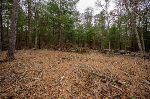 257 County Rd, Bourne, MA 02532 photo 26