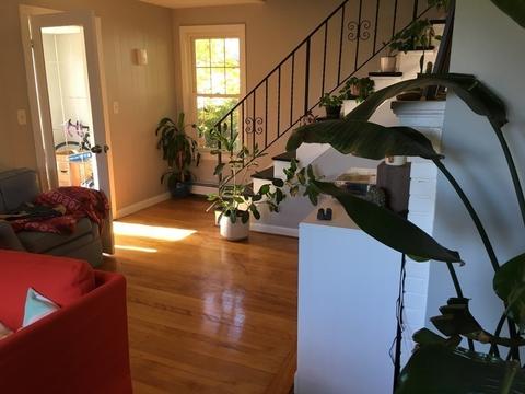 22 Rob Roy Rd, Worcester, MA 01602 photo 11