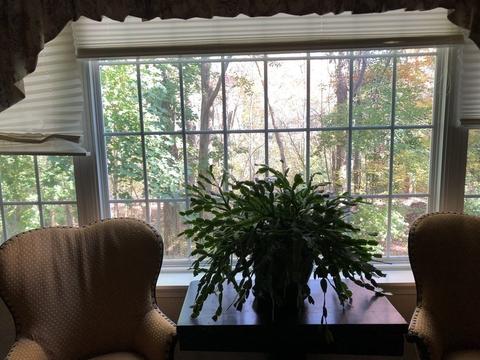 32 Ridge Rd, Reading, MA 01867 photo 16