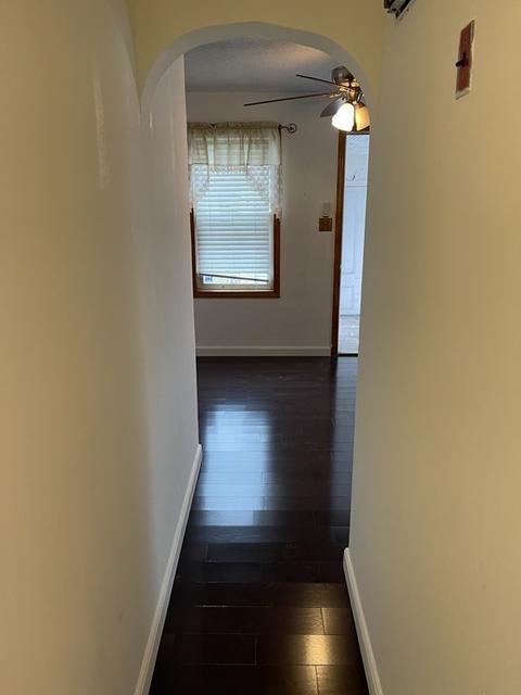 101 Lamont St, Springfield, MA 01119 photo 4