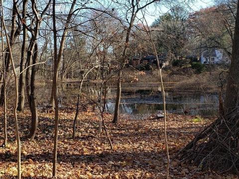 22 Marshall Rd, Natick, MA 01760 photo 34