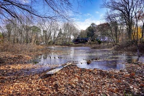 22 Marshall Rd, Natick, MA 01760 photo 35