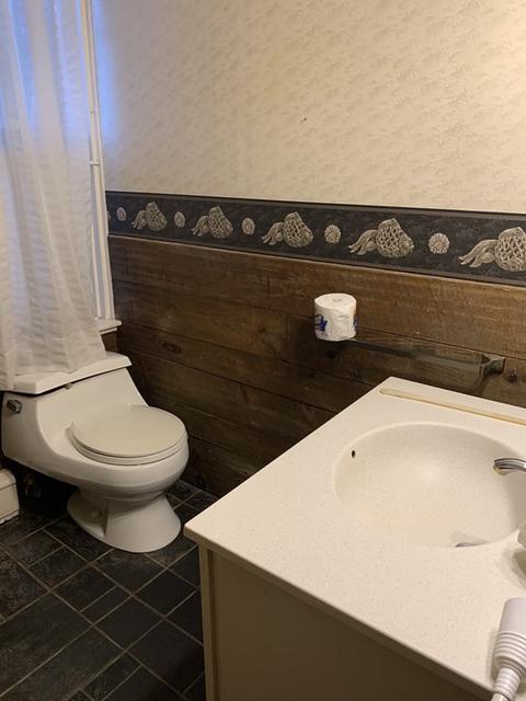 28 Wyoming Ave, Needham, MA 02492 photo 29