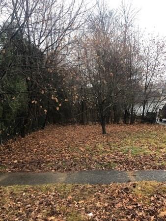 184 Winton St, Springfield, MA 01118 photo 12