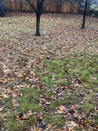 184 Winton St, Springfield, MA 01118 photo 9