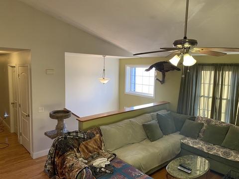 44 Dawson Rd, Worcester, MA 01602 photo 6