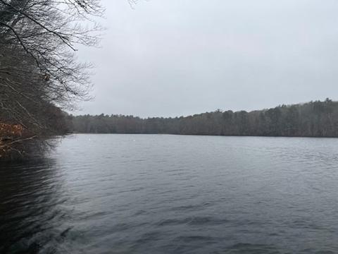 141 Timberlane Dr, Mashpee, MA 02649 photo 19