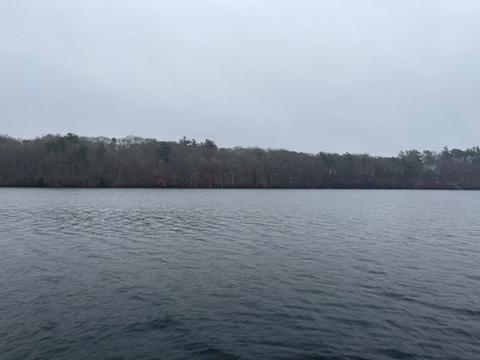 141 Timberlane Dr, Mashpee, MA 02649 photo 20