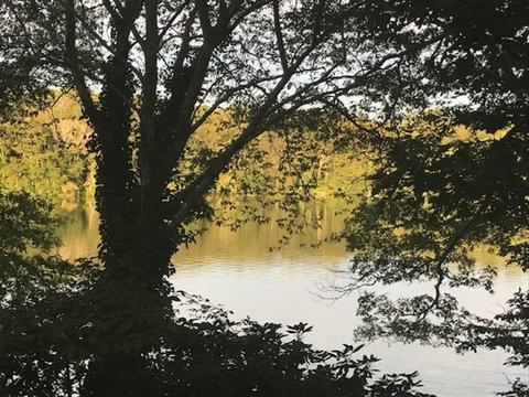 141 Timberlane Dr, Mashpee, MA 02649 photo 27