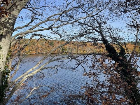 141 Timberlane Dr, Mashpee, MA 02649 photo 1