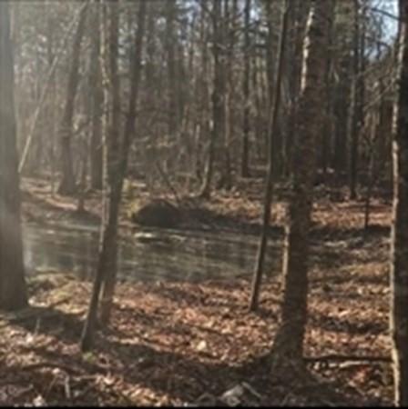 2 Lee Rd, Ware, MA 01082 photo 7