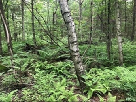 2 Lee Rd, Ware, MA 01082 photo 2