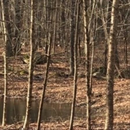 2 Lee Rd, Ware, MA 01082 photo 5