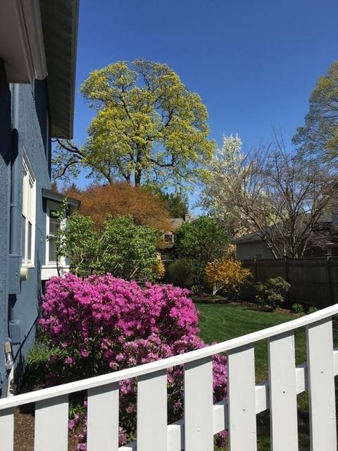 833 Great Plain Ave, Needham, MA 02492 photo 36