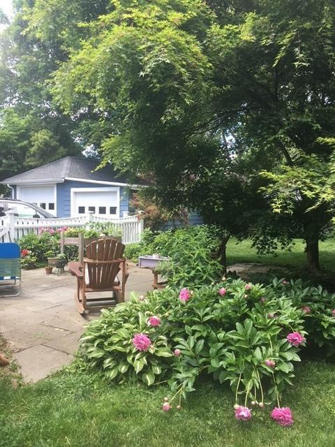 833 Great Plain Ave, Needham, MA 02492 photo 37