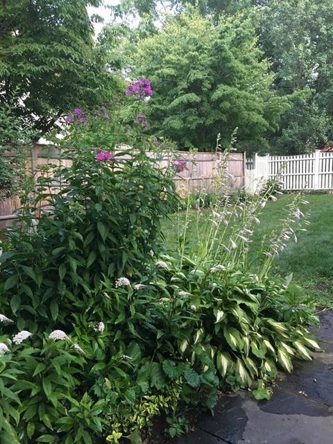 833 Great Plain Ave, Needham, MA 02492 photo 39