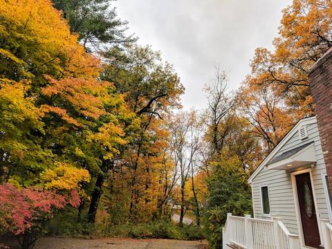 7 Walsh St, Randolph, MA 02368 photo 33