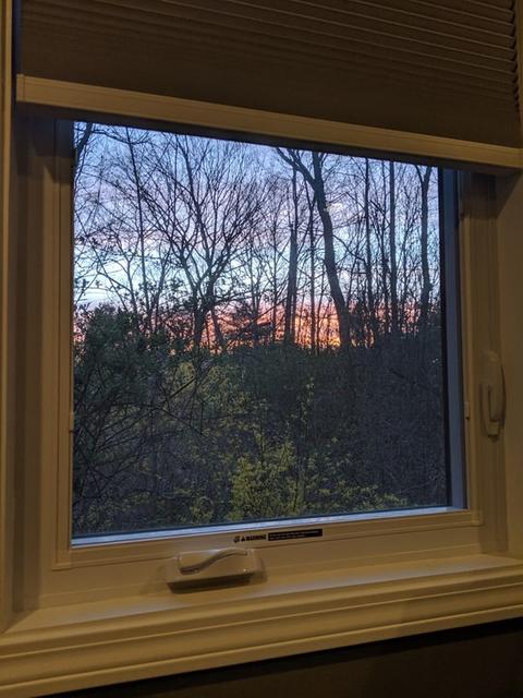 7 Walsh St, Randolph, MA 02368 photo 39