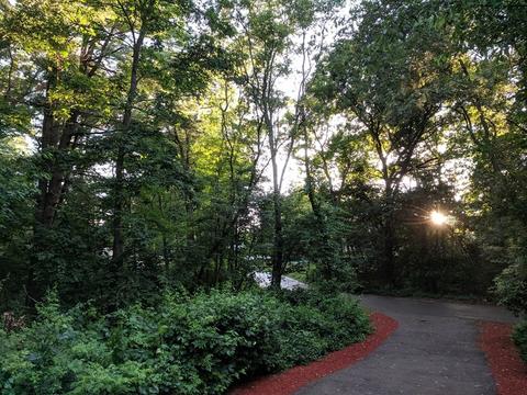 7 Walsh St, Randolph, MA 02368 photo 37