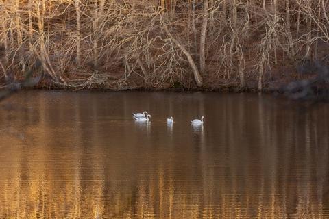 191 Timberlane, Mashpee, MA 02649 photo 25