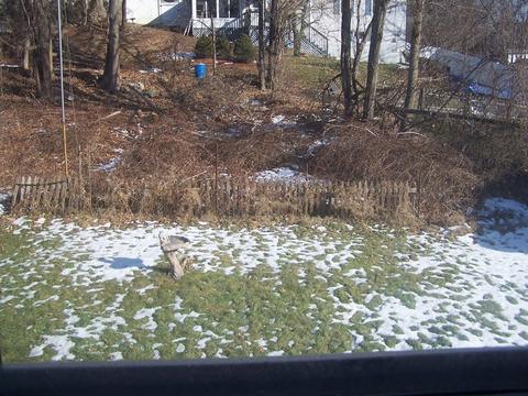 3 Opal Ave, Beverly, MA 01915 photo 7