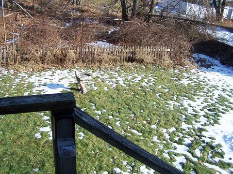 3 Opal Ave, Beverly, MA 01915 photo 20