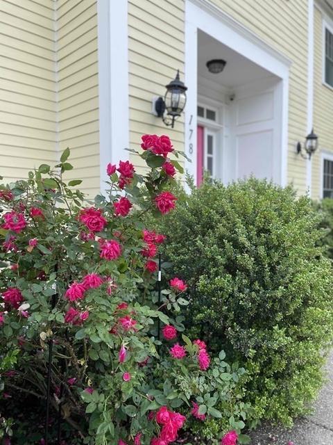 178 High Rock St, Needham, MA 02492 photo 32
