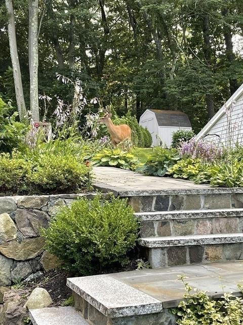 67 Summer Ave, Reading, MA 01867 photo 36