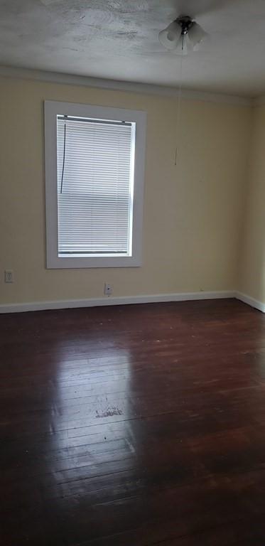 115 Bloomfield St, Springfield, MA 01108 photo 7