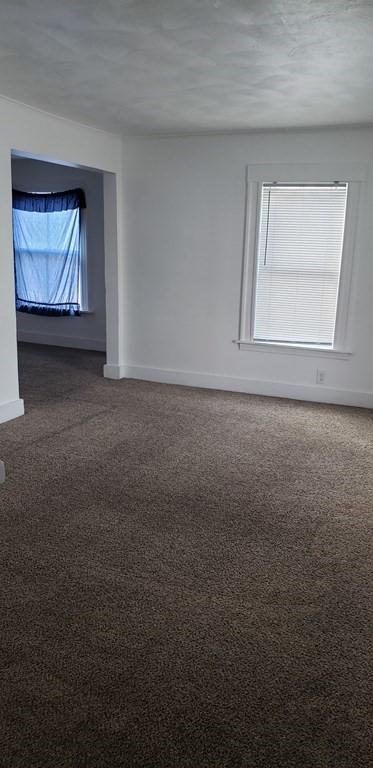 115 Bloomfield St, Springfield, MA 01108 photo 6
