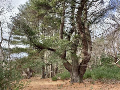 320 Mendall Rd, Acushnet, MA 02743 photo 31