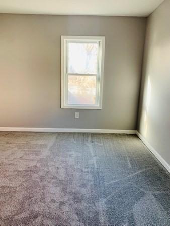 52 Nelson Ave, Springfield, MA 01109 photo 18