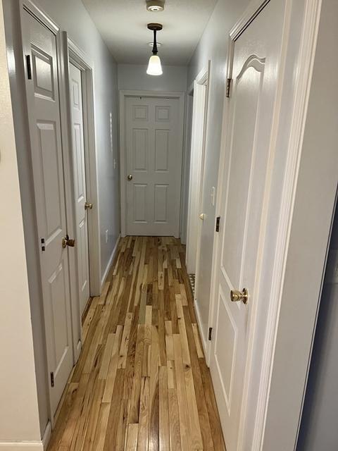 60 Arnold Ave, Springfield, MA 01119 photo 4