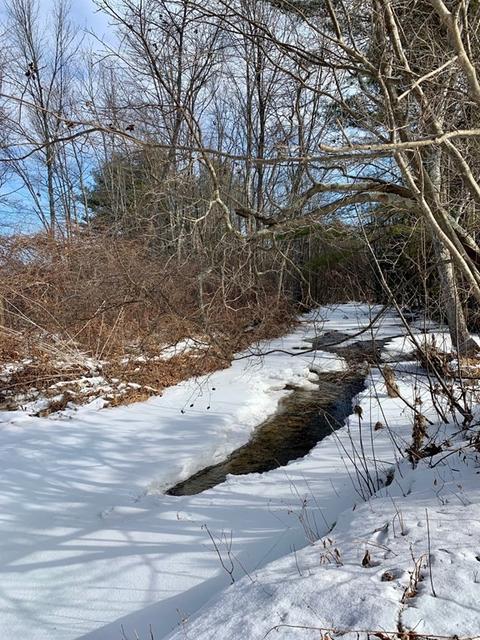 20 Cushman Rd, Leverett, MA 01054 photo 39