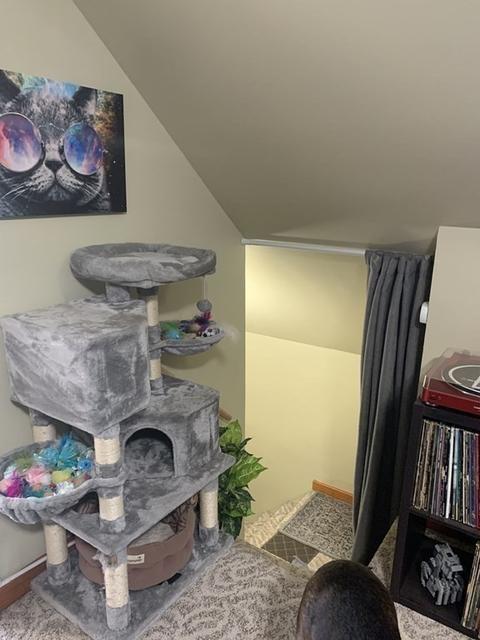 25 Canton St, Lowell, MA 01851 photo 31