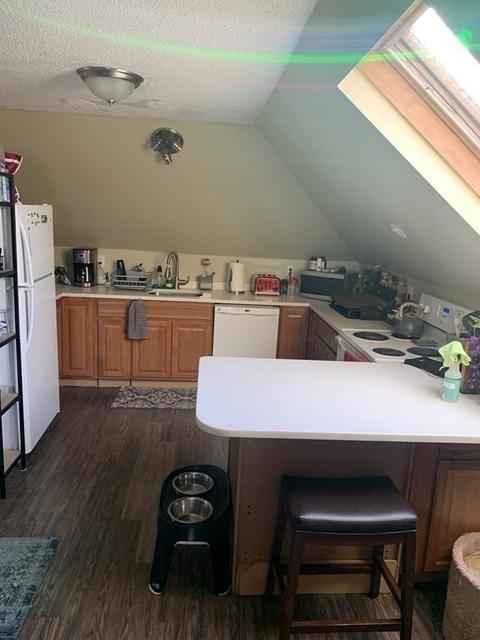 25 Canton St, Lowell, MA 01851 photo 37