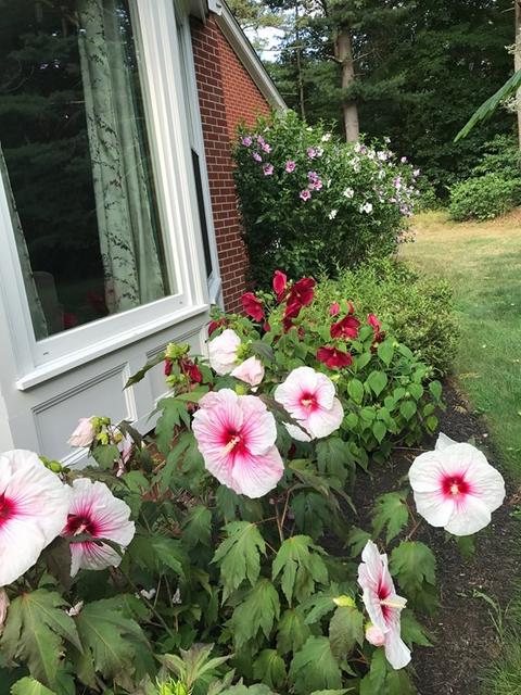 291 Elm St E, Raynham, MA 02767 photo 38