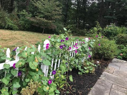 291 Elm St E, Raynham, MA 02767 photo 42