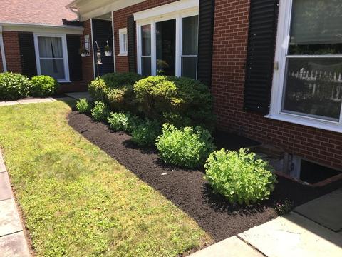 291 Elm St E, Raynham, MA 02767 photo 41