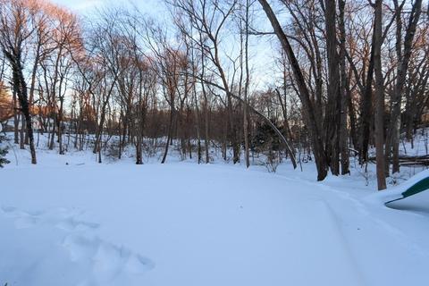 12 Ivy Rd, Needham, MA 02492 photo 26
