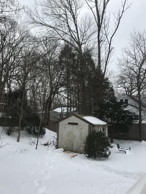 55 Chester Ave, Dedham, MA 02026 photo 5