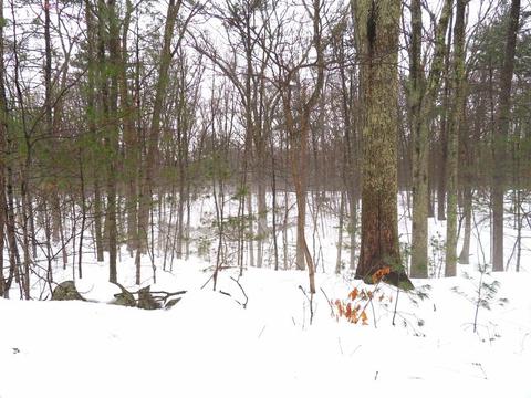 63 Maple St, Douglas, MA 01516 photo 39