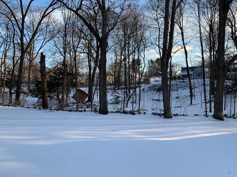 27 Priscilla Rd, Reading, MA 01867 photo 3
