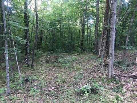 0 Lower Rd, Hardwick, MA 01031 photo 5